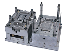 Mold display